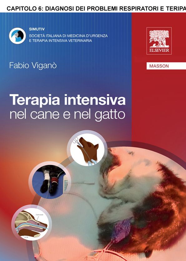Diagnosi dei problemi respiratori e terapia