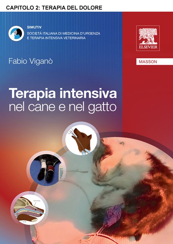 Terapia del dolore