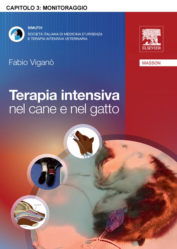 Monitoraggio
