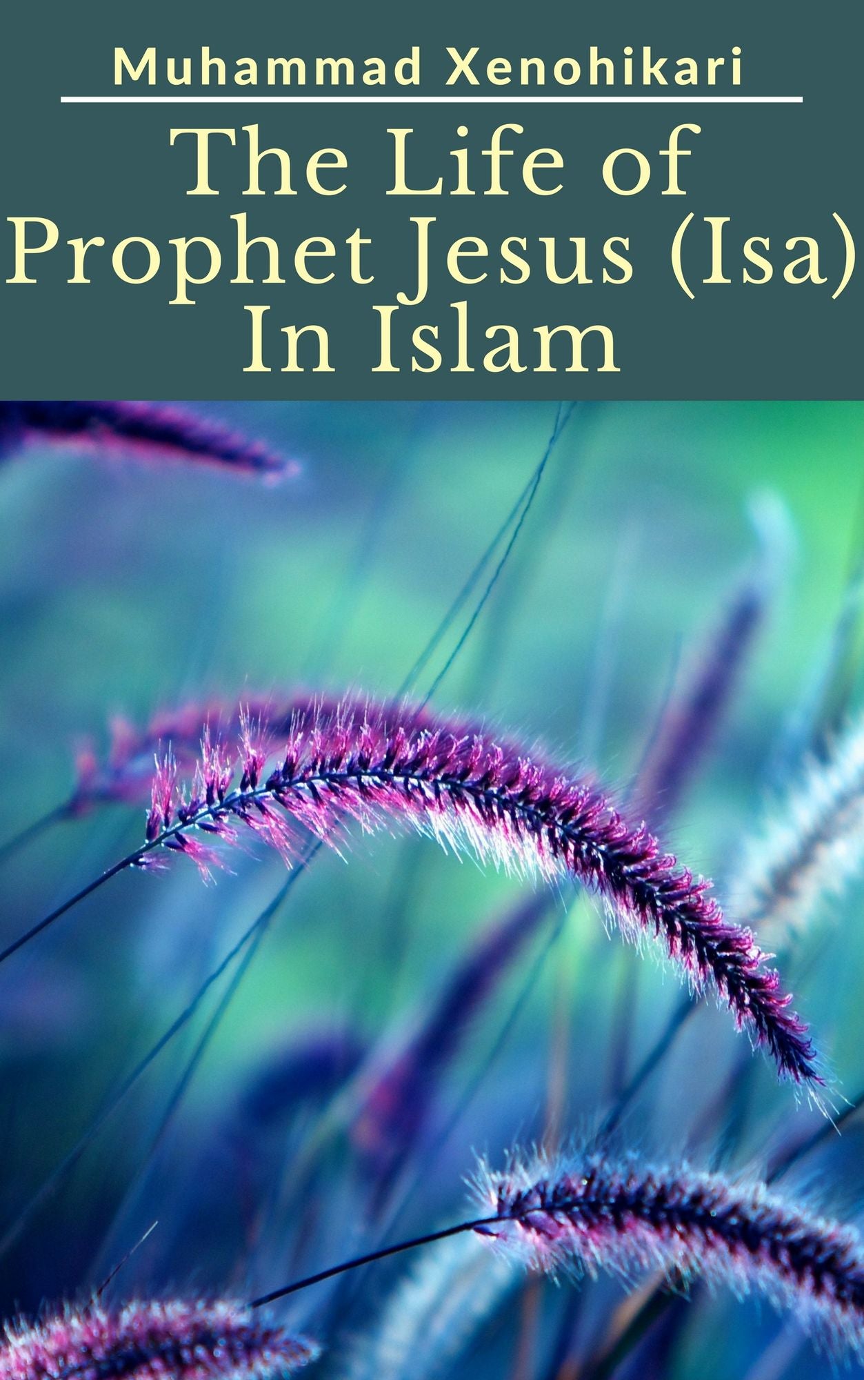 The Life of Prophet Jesus (Isa) In Islam