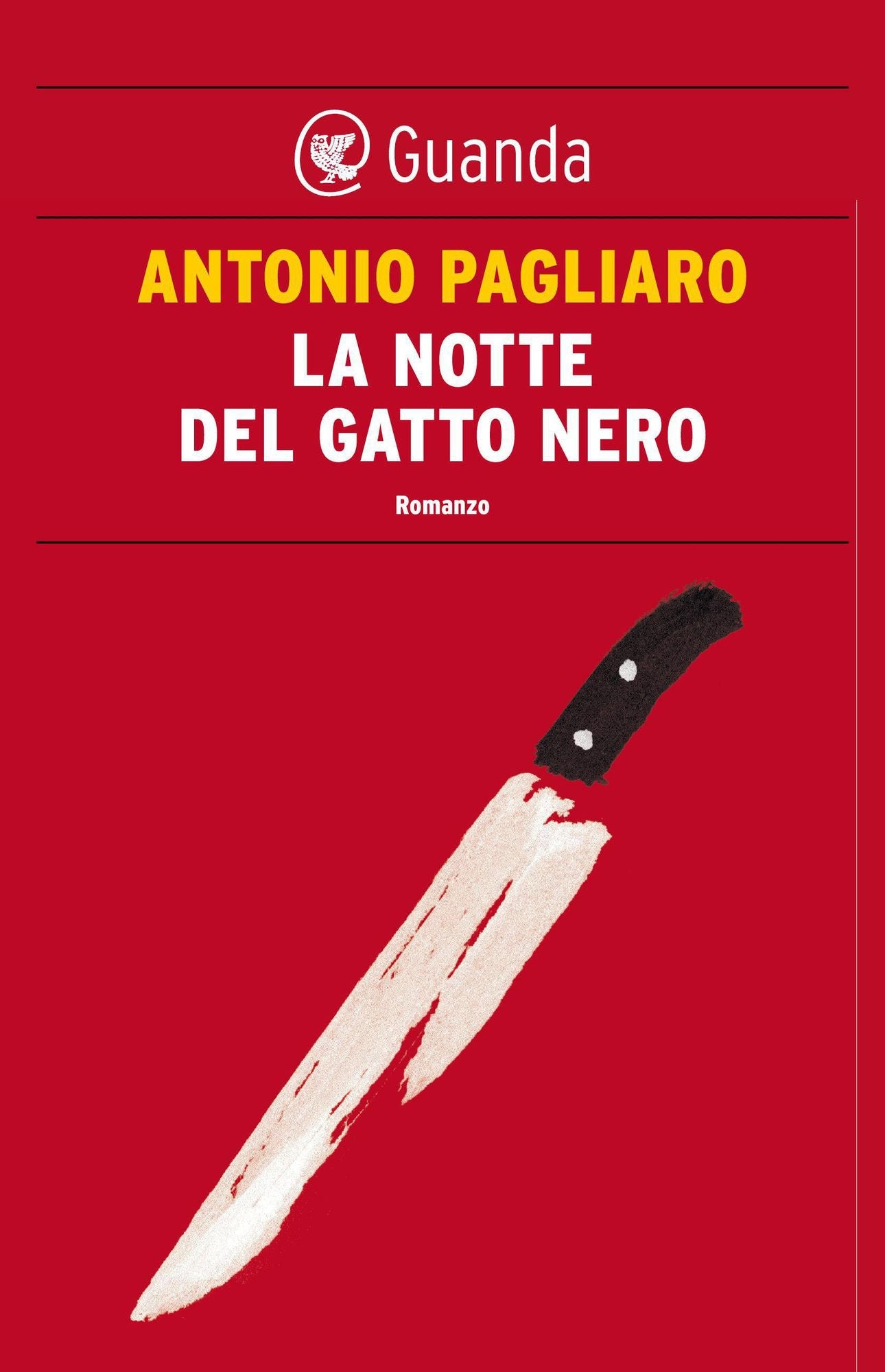 La notte del gatto nero