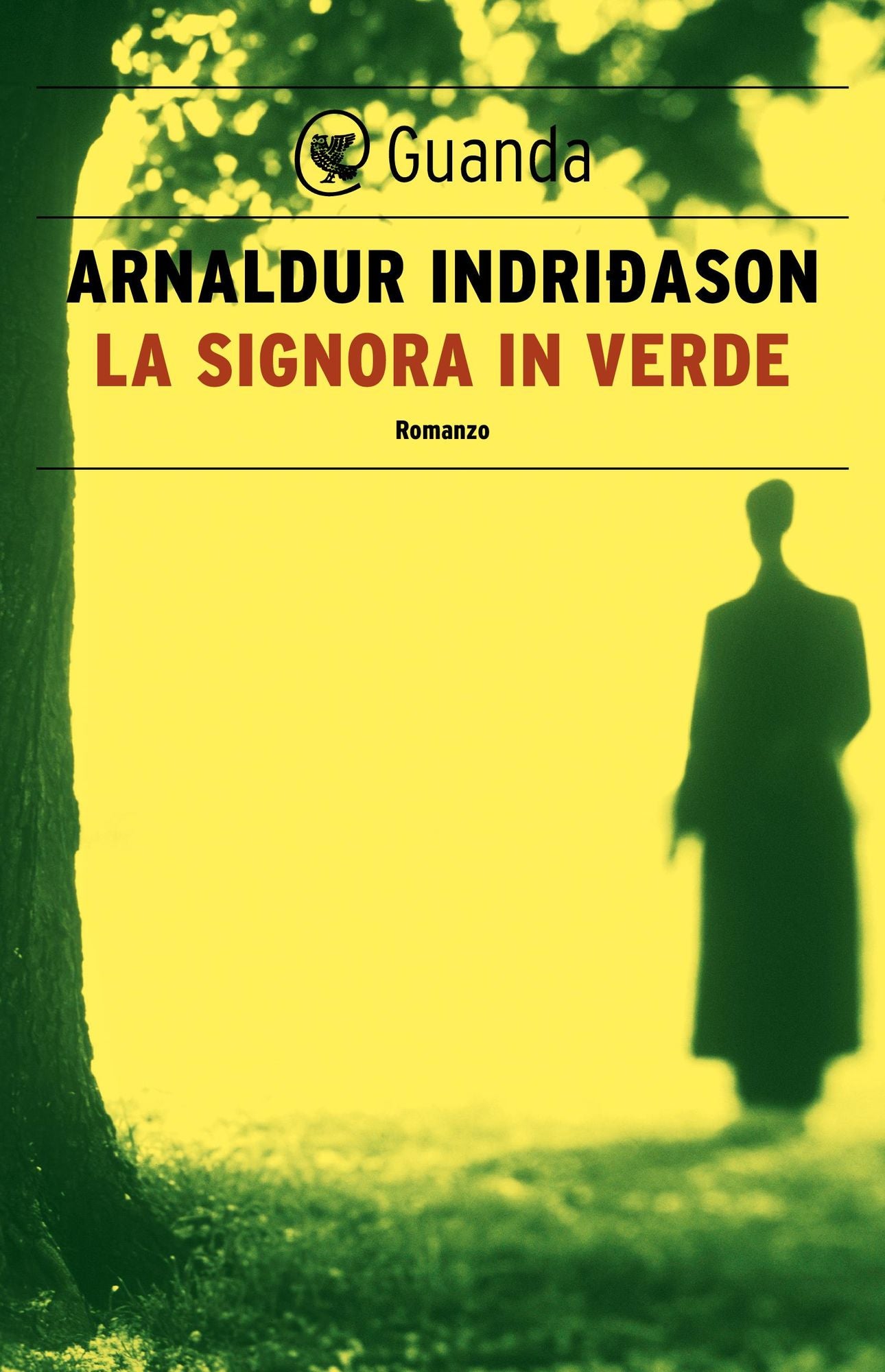 La signora in verde: Un'indagine per l'agente Erlendur Sveinsson