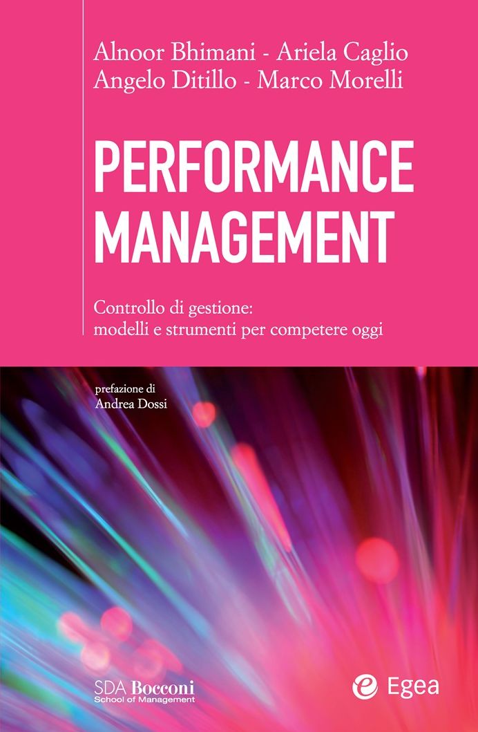 Performance Management: Controllo di gestione: modelli e strumenti per competere oggi