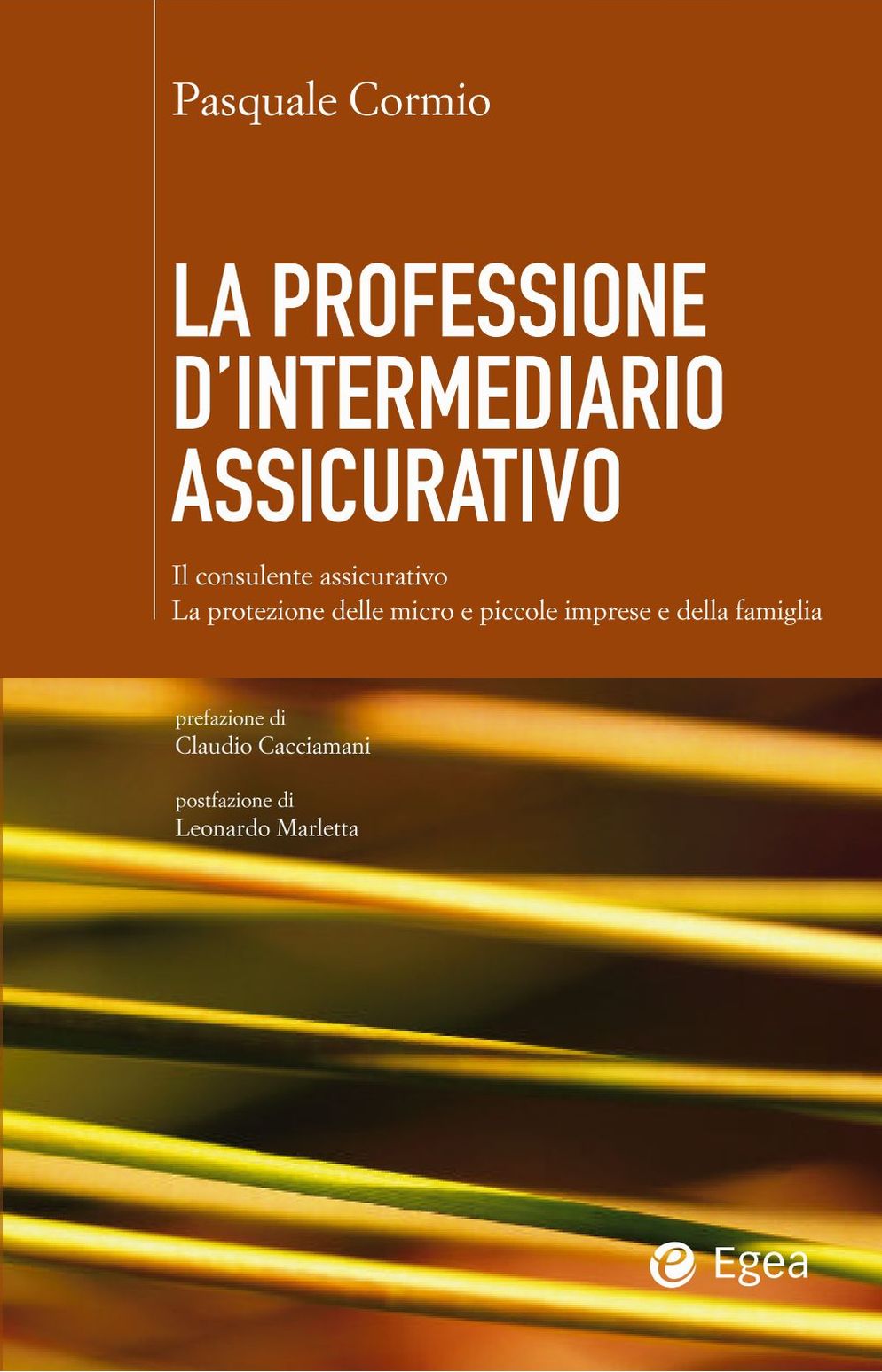 Professione d'intermediario assicurativo (La): Il consulente assicurativo. La protezione della micro e piccola impresa e della famiglia