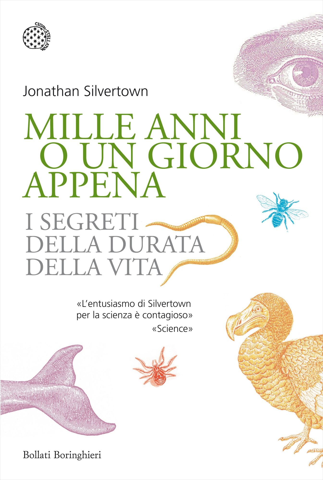 Mille anni o un giorno appena: I segreti della durata della vita
