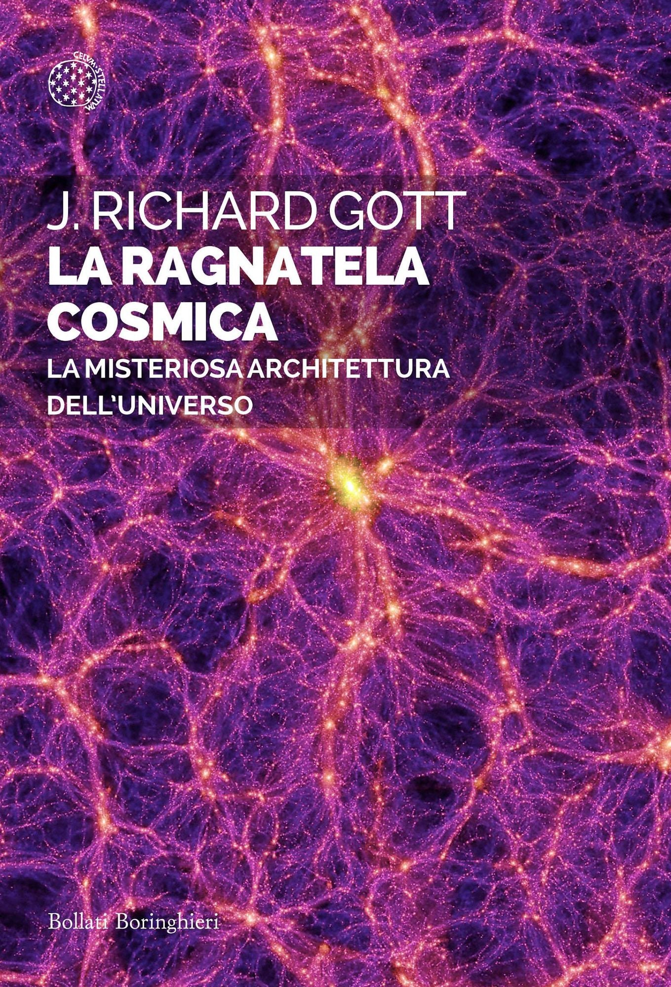 La ragnatela cosmica: La misteriosa architettura dell'Universo