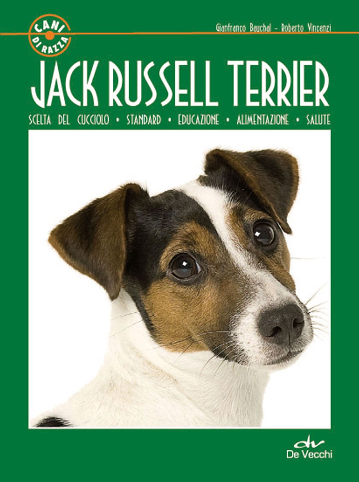 Jack Russell Terrier
