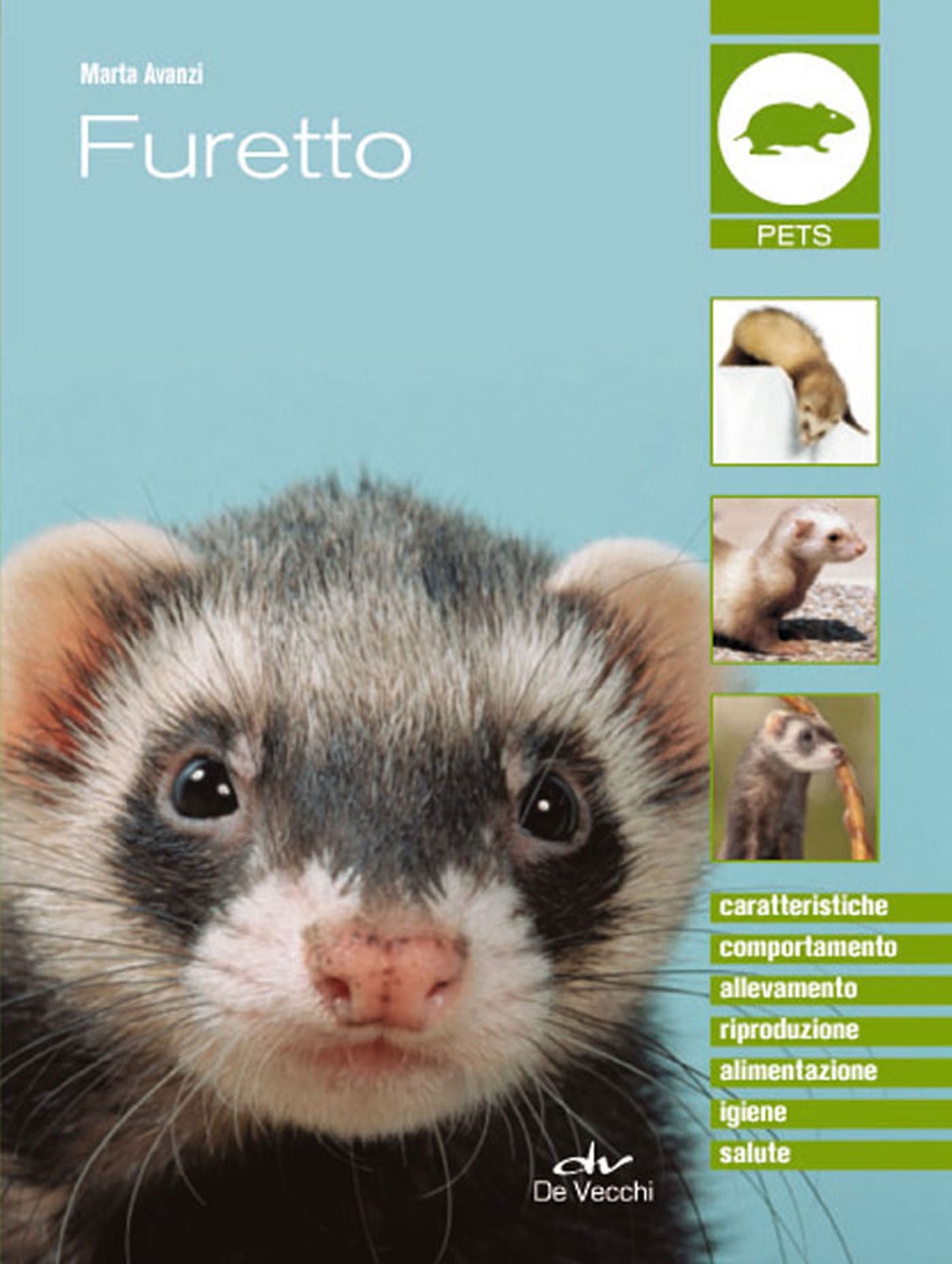 Furetto