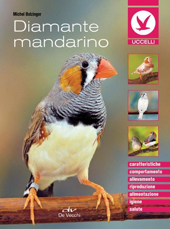 Diamante mandarino