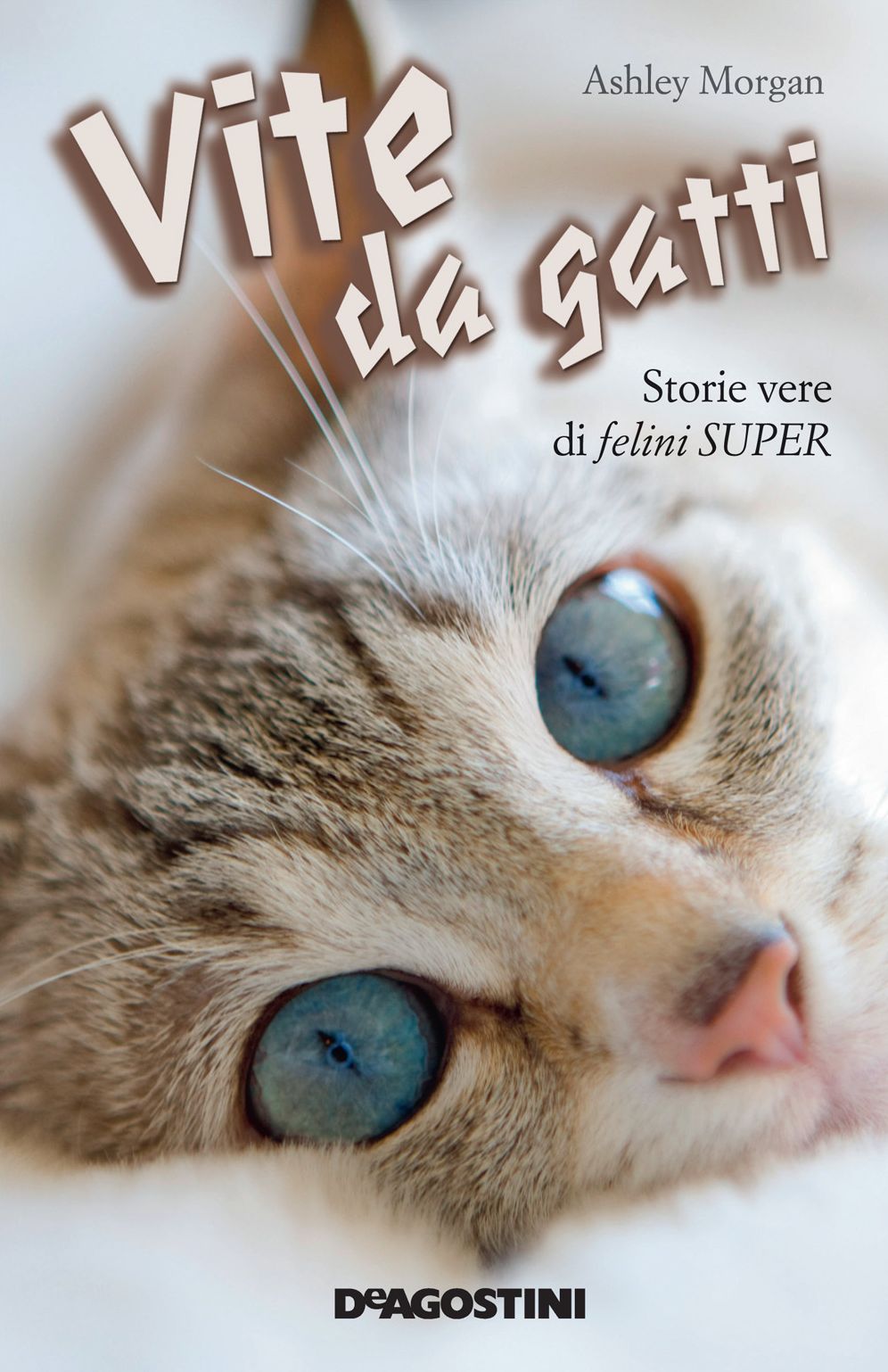 Vite da gatti: Storie vere di felini super