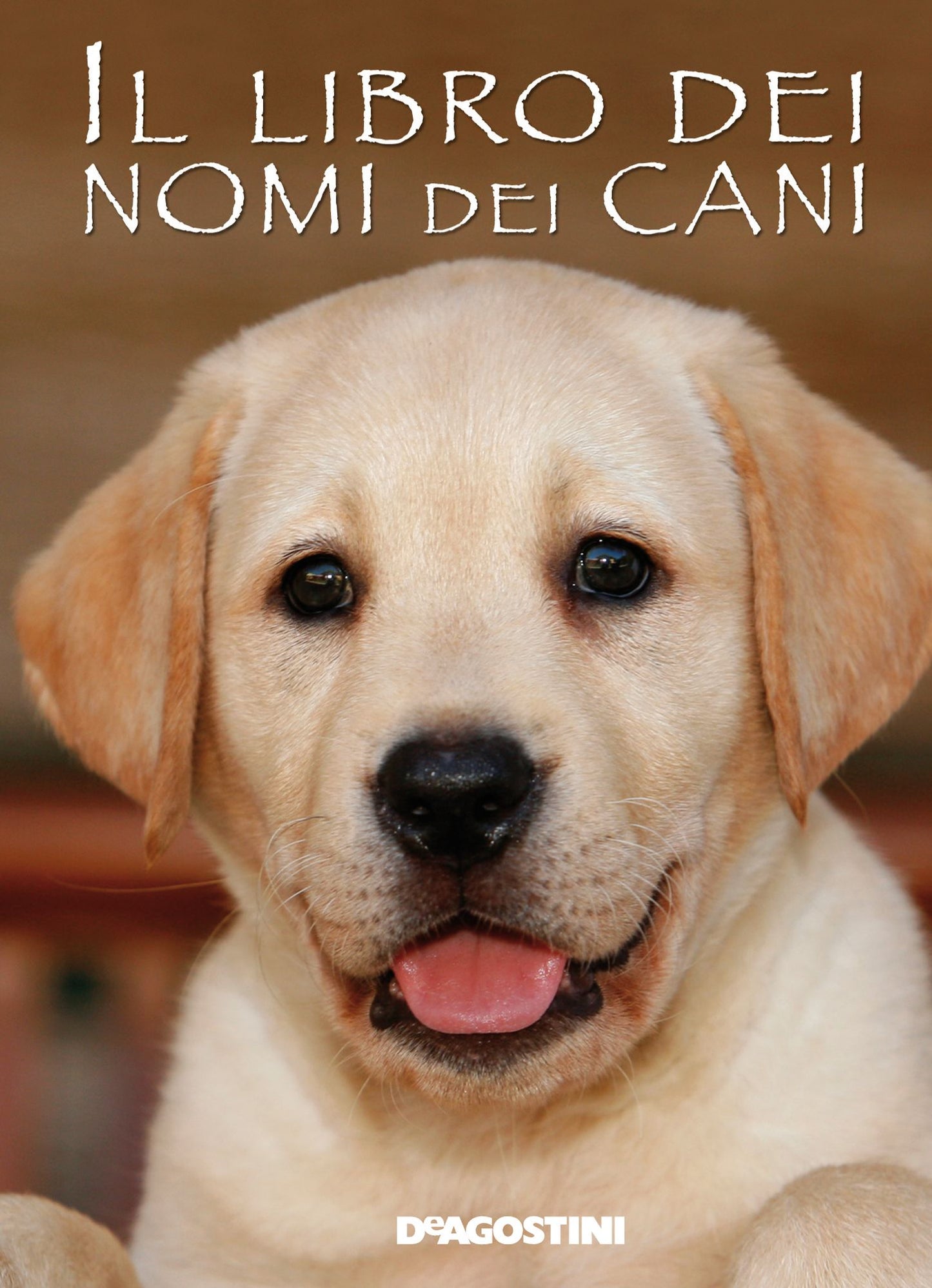 Il libro dei nomi dei cani: /