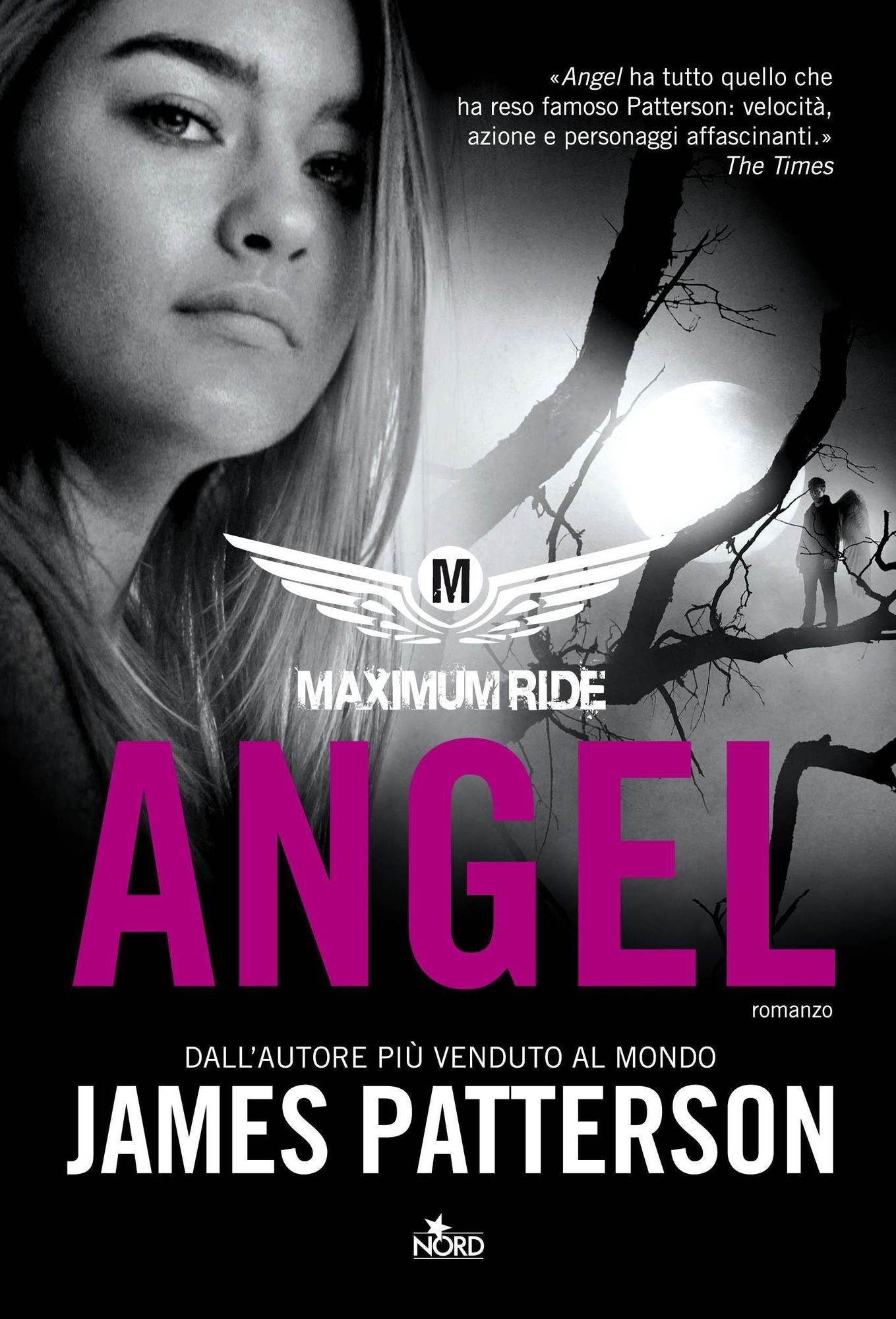 Maximum Ride: Angel
