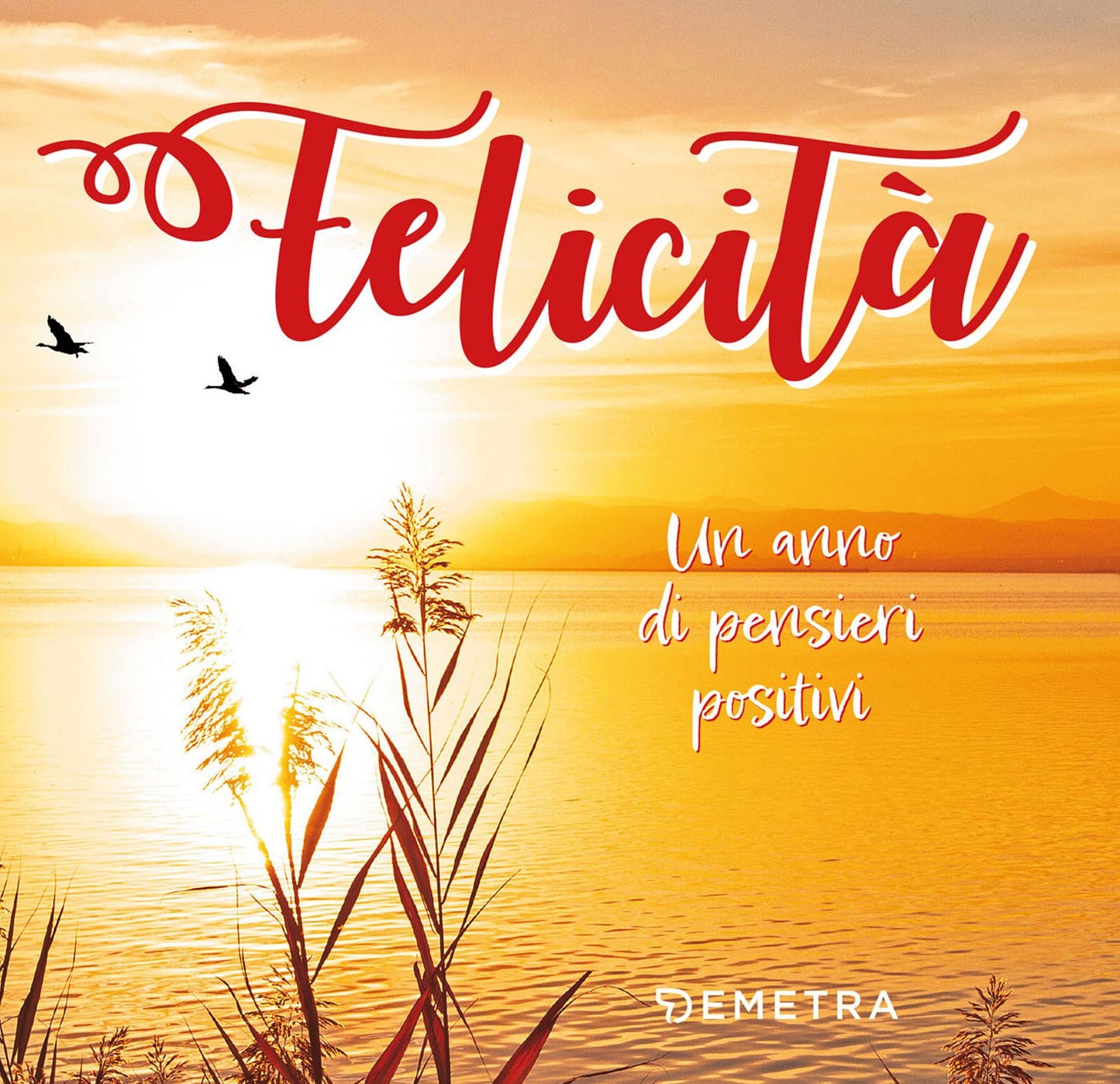 Felicità: Un anno di pensieri positivi