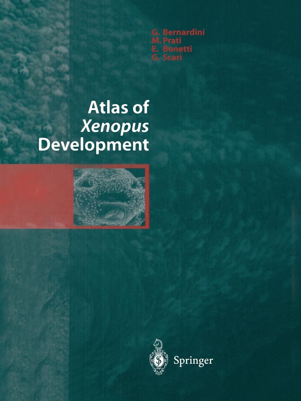 Atlas of Xenopus Development
