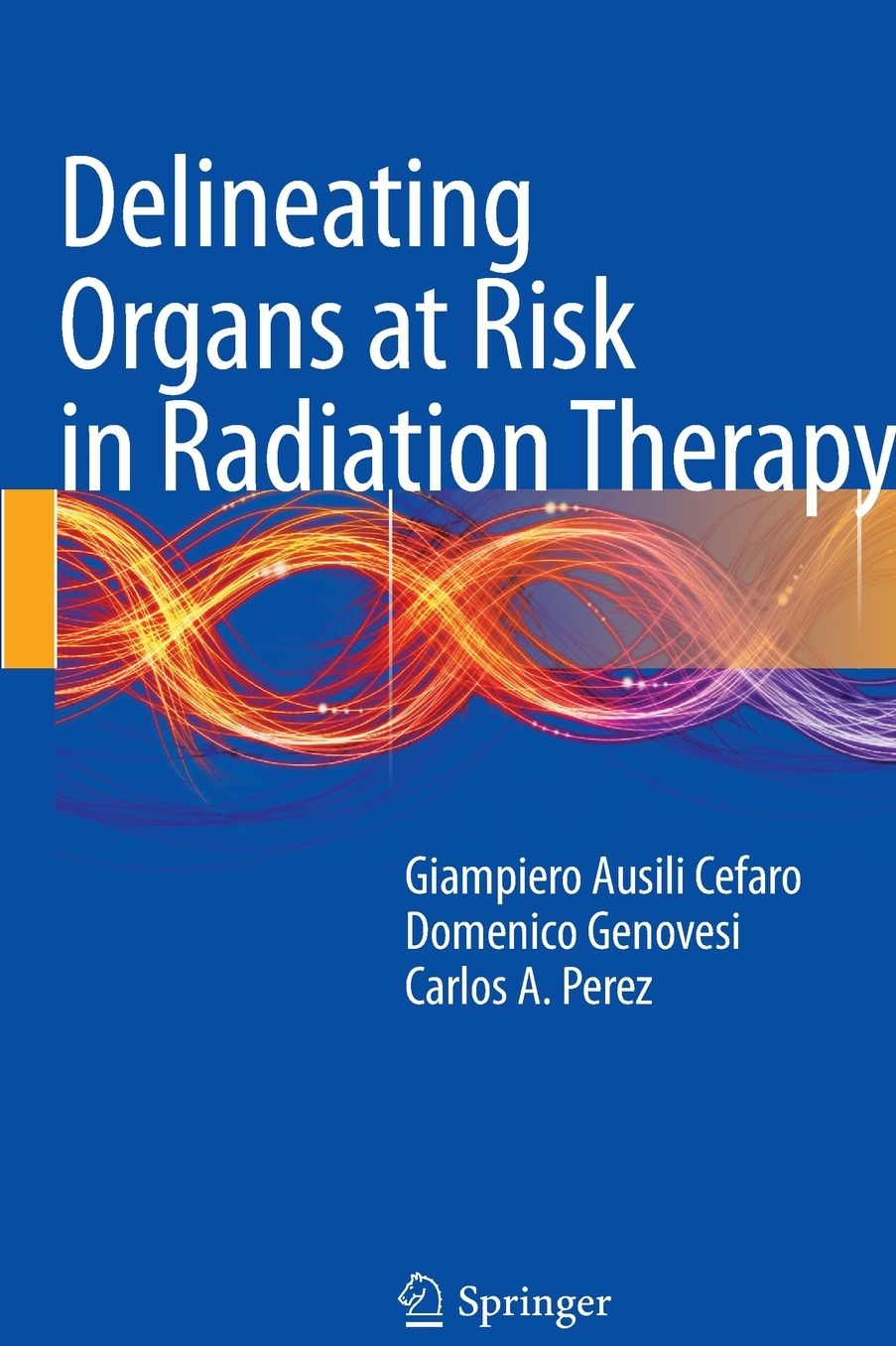 Delineating Organs at Risk in Radiation Therapy