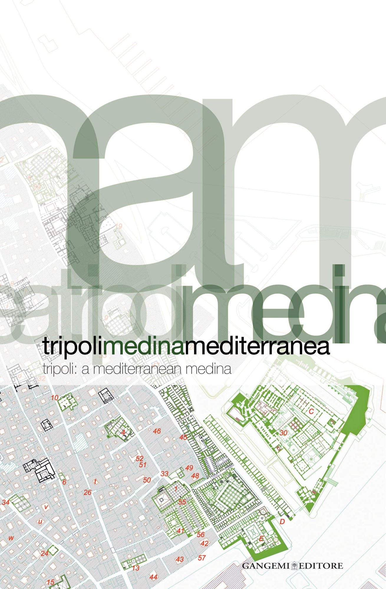 Tripoli Medina Mediterranea: Tripoli: A Mediterranean Medina