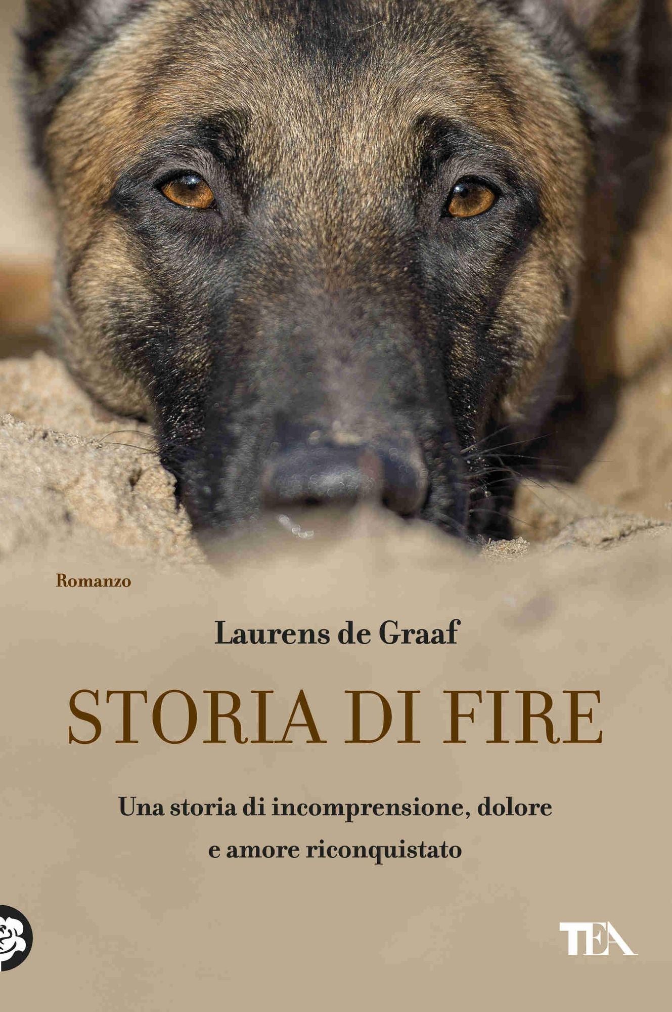 Storia di Fire: Una storia di comprensione, dolore e amore riconquistato
