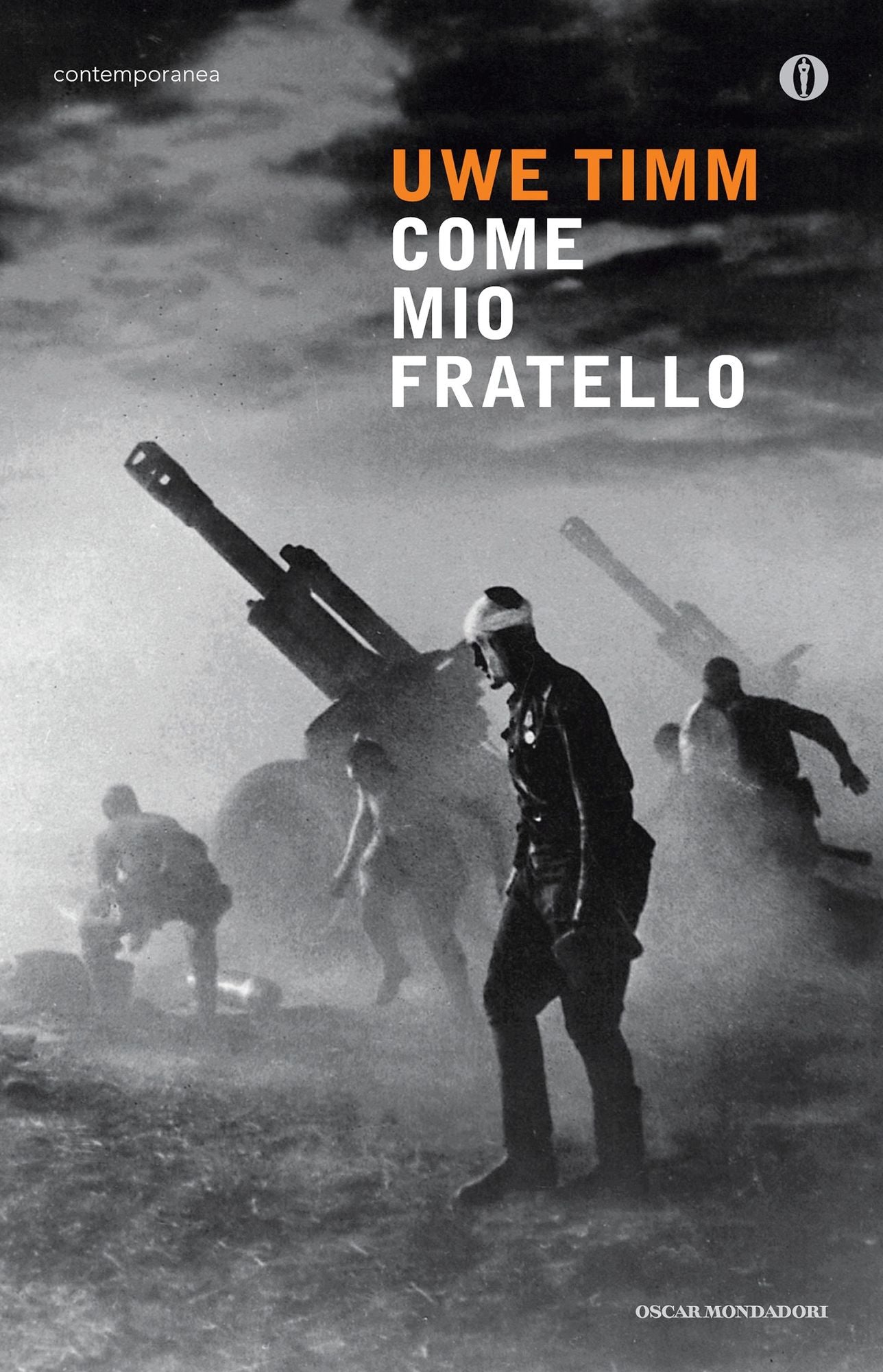 Come mio fratello
