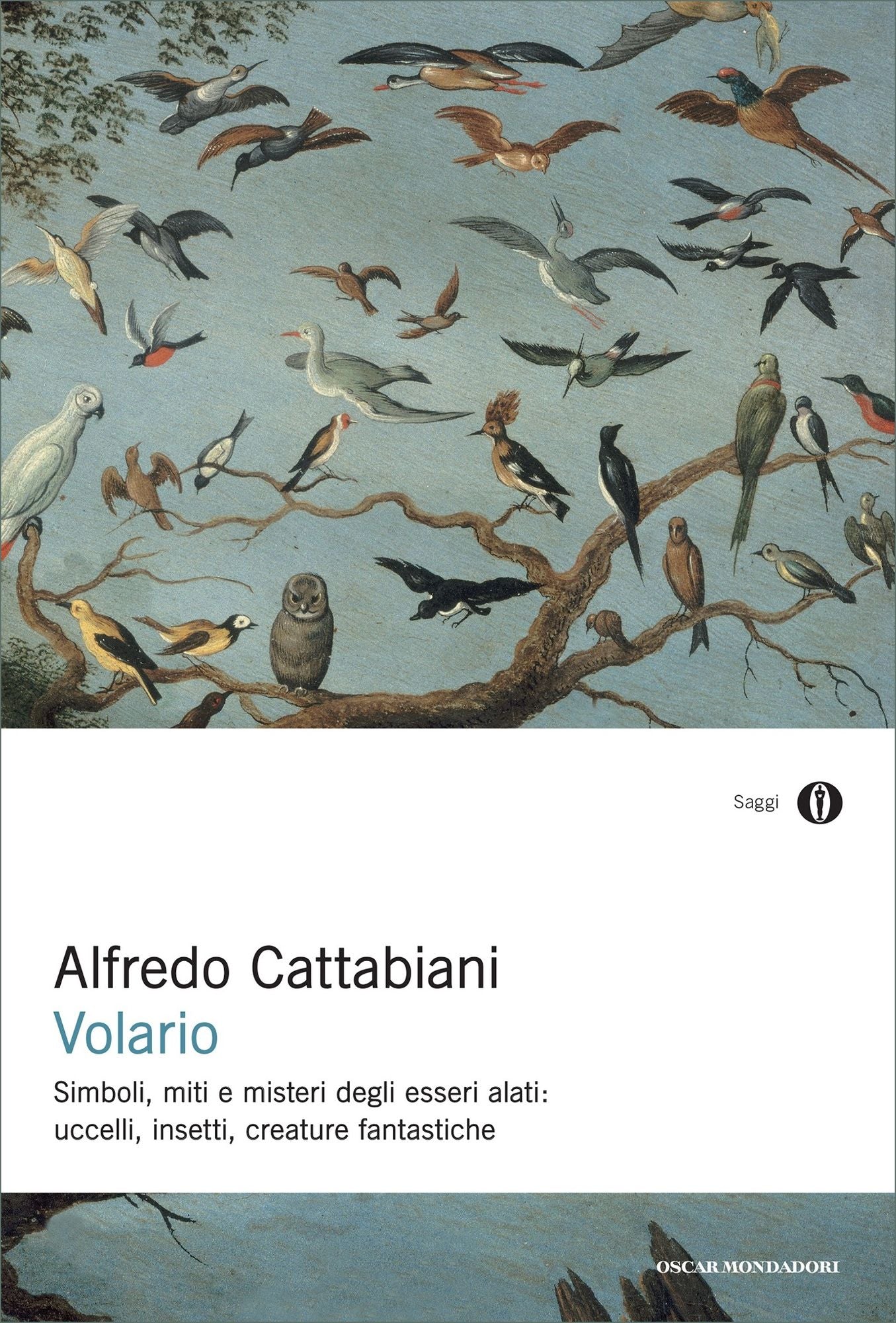 Volario