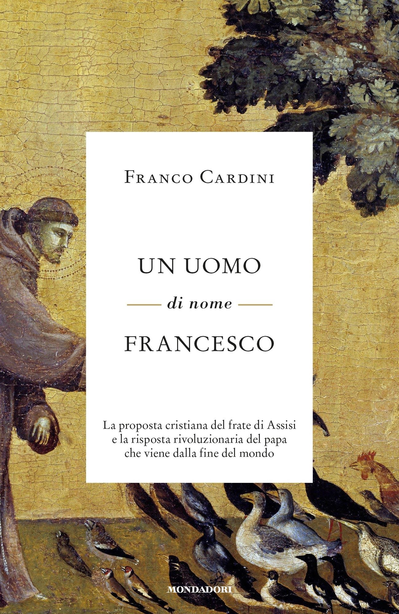 Un uomo di nome Francesco