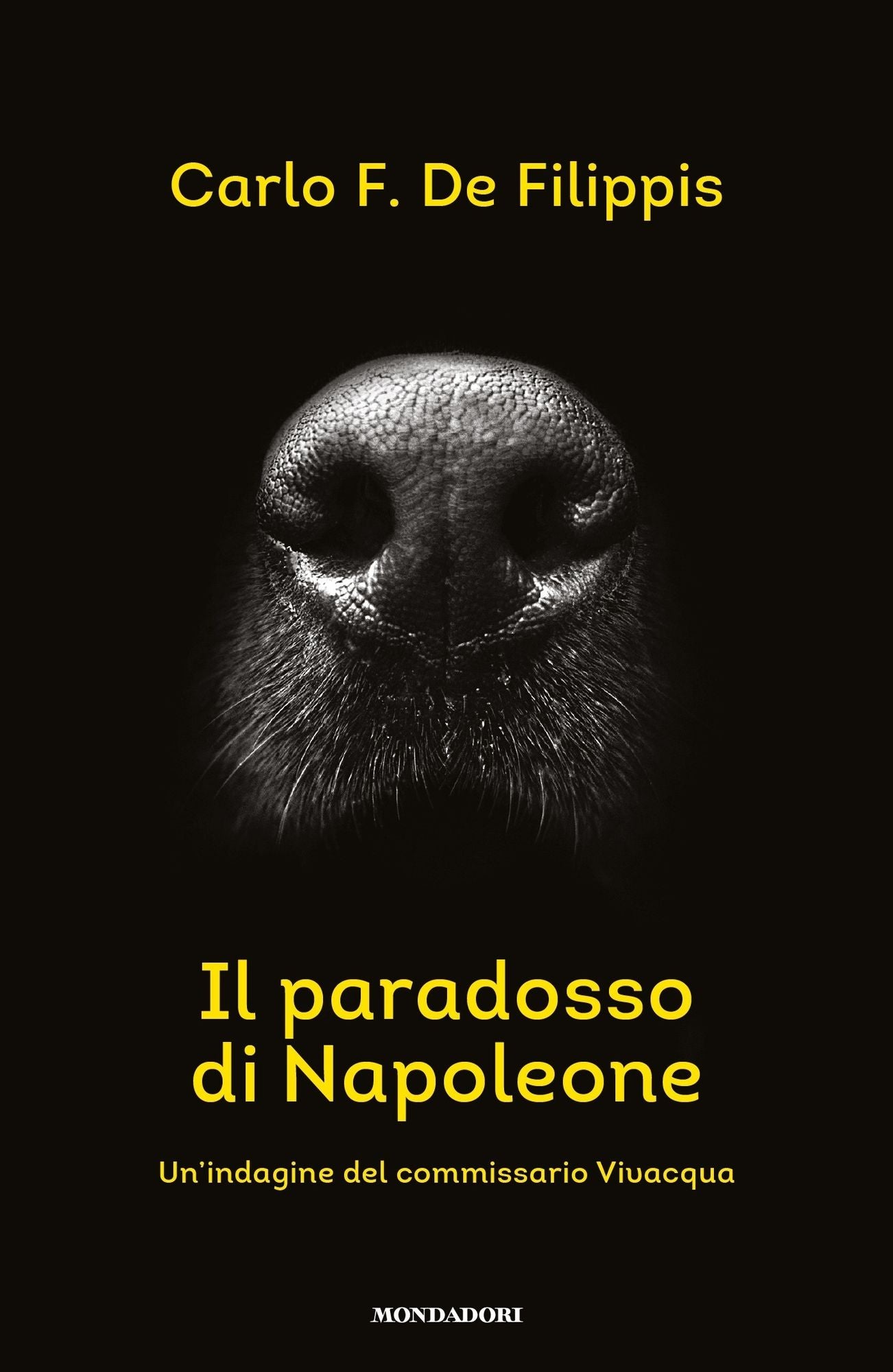 Il paradosso di Napoleone
