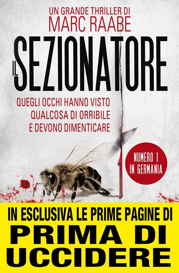 Il sezionatore