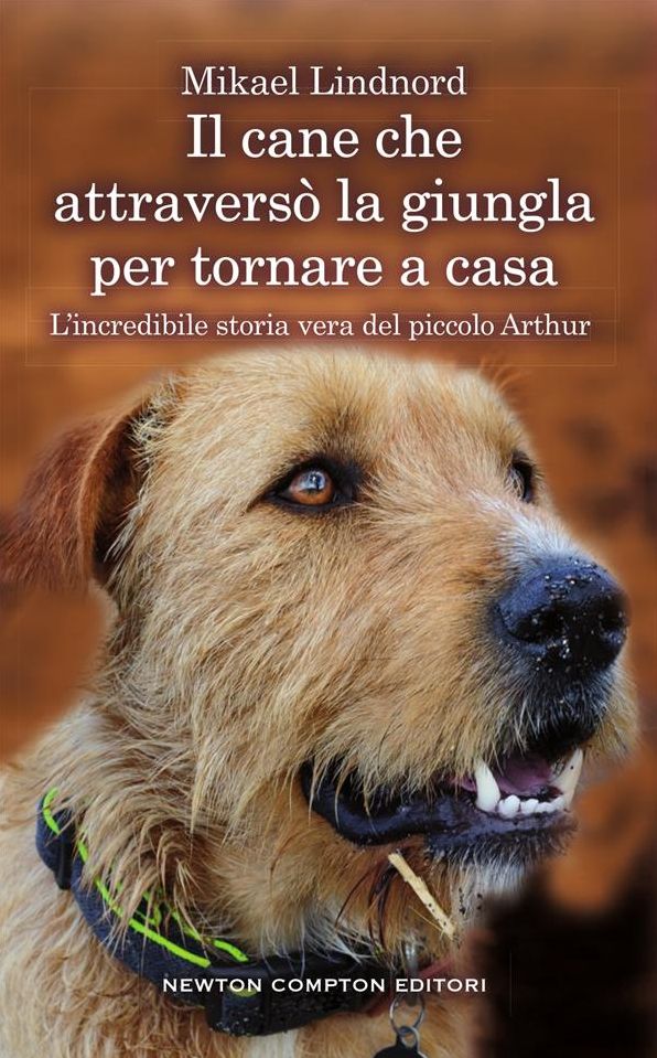 Il cane che attraversò la giungla per tornare a casa