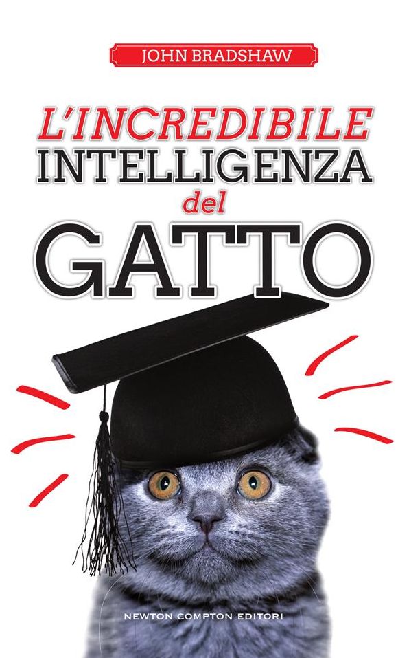 L'incredibile intelligenza del gatto