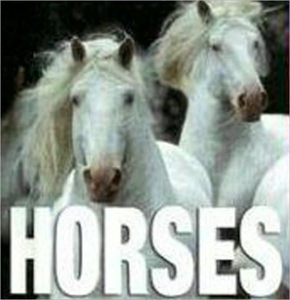 CubeBook: Horses (MiniCube)