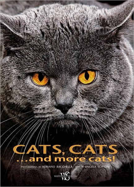 Cats, Cats...and more Cats!