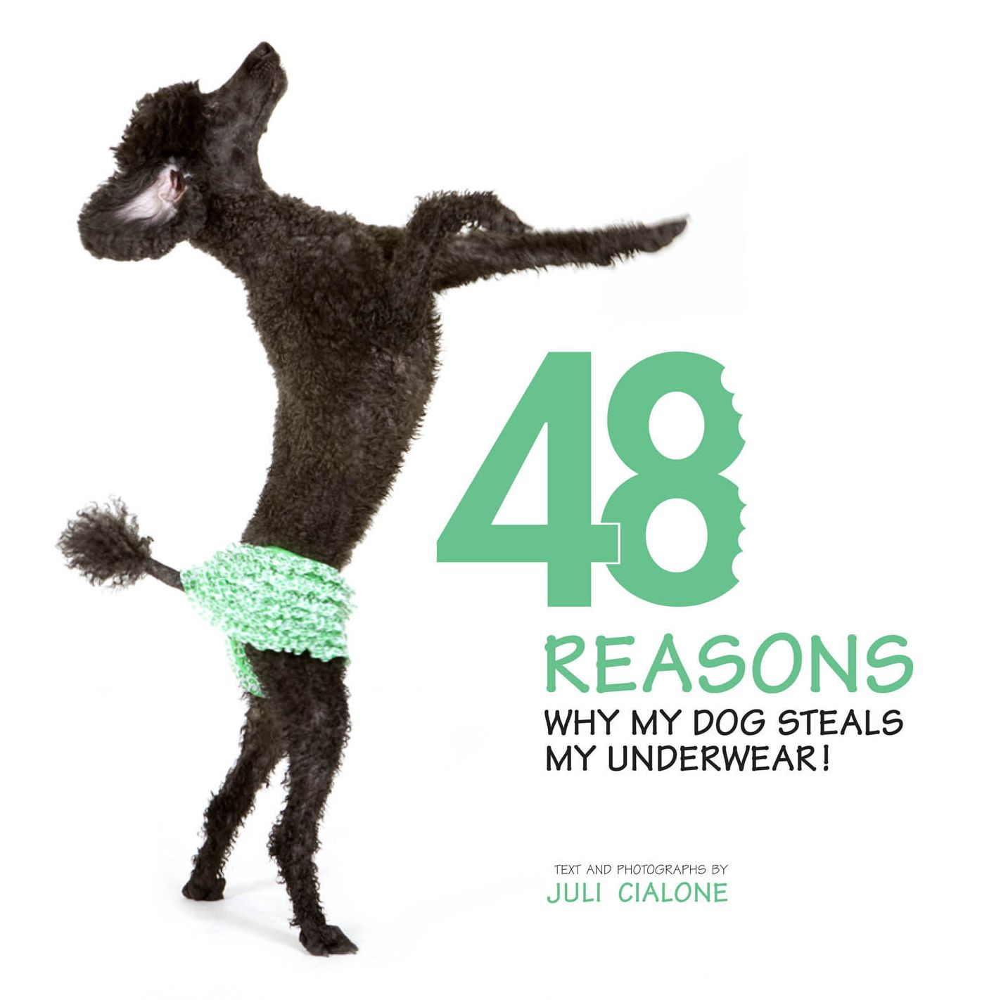48 Reasons why my dog steals my underwear!