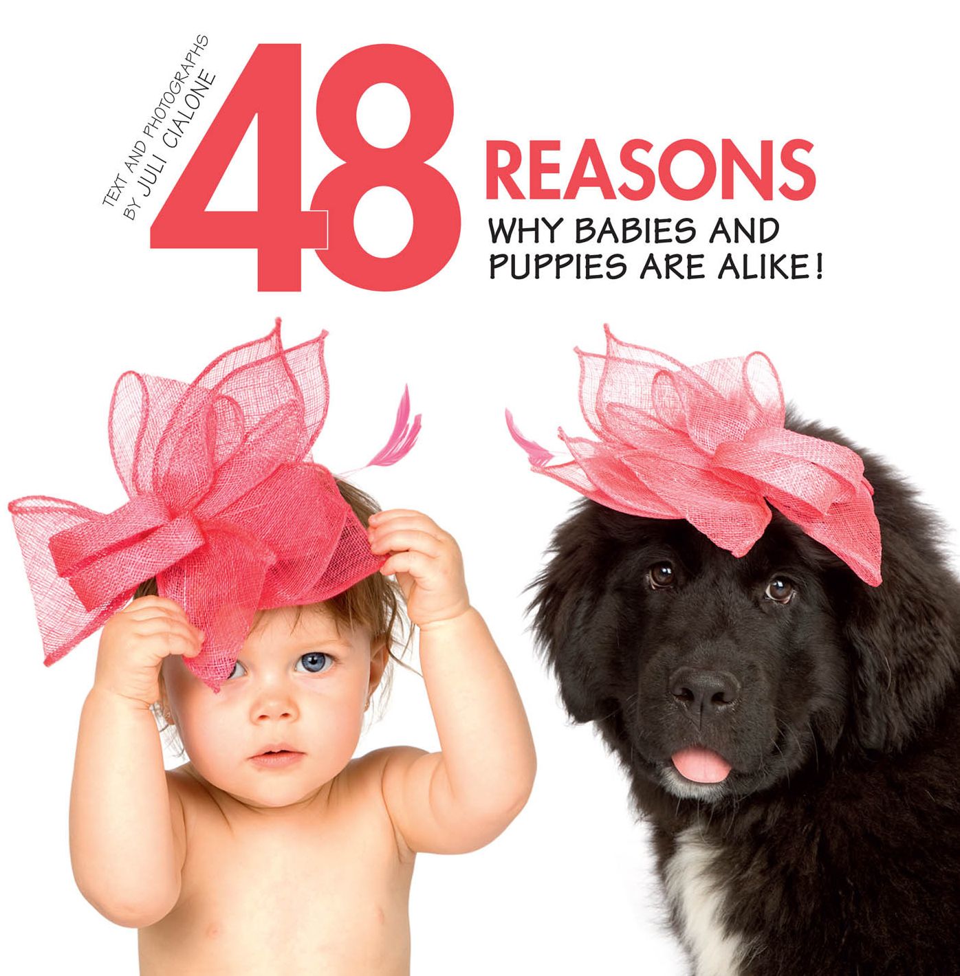 48 Reasons why babies and puppies are alike!