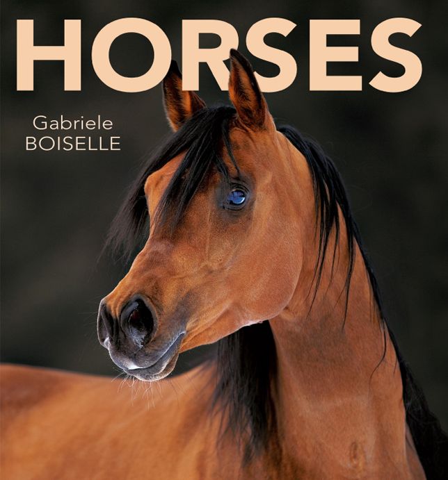 Horses