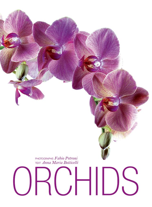 Orchids