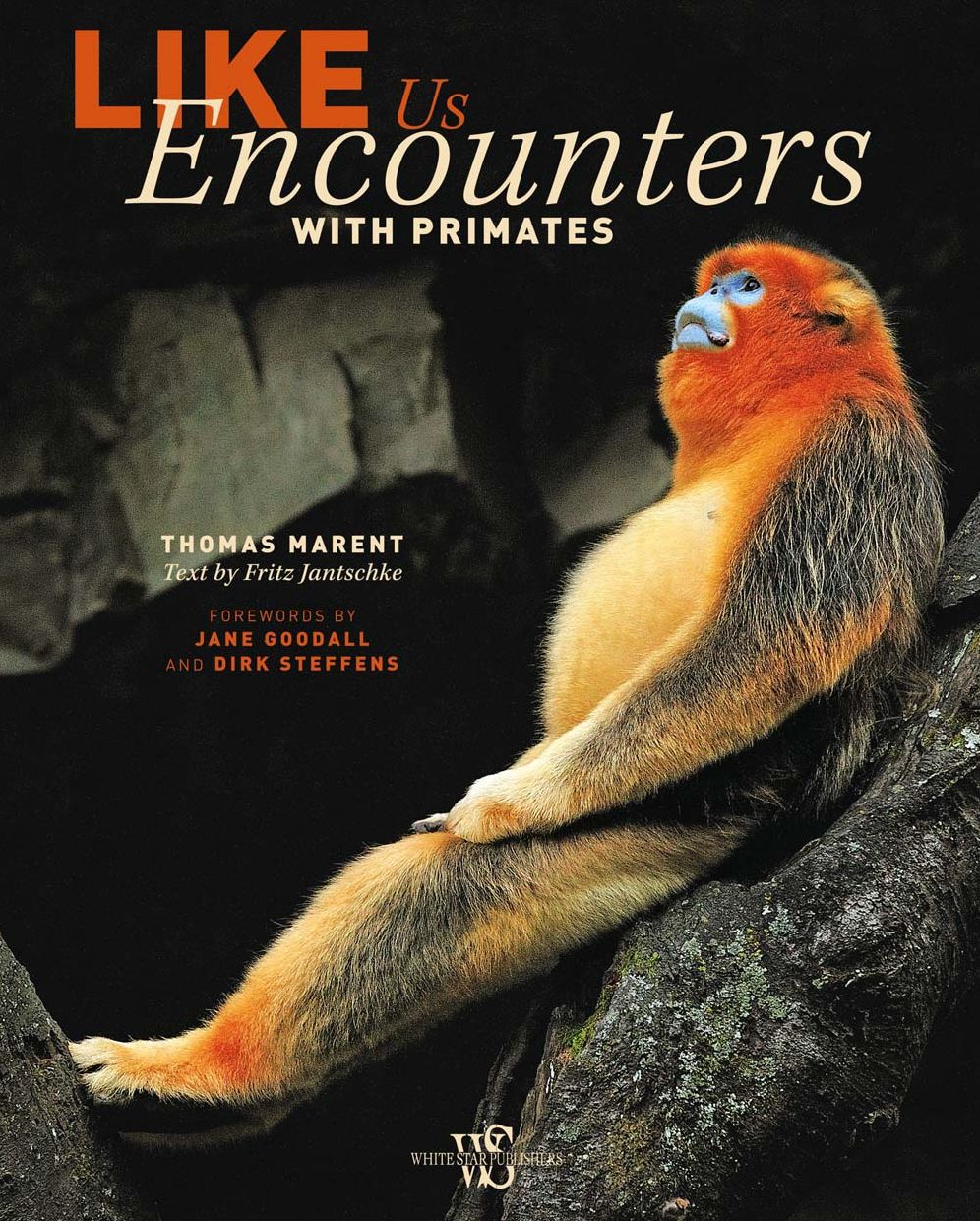 Like Us: Encounters with Primates