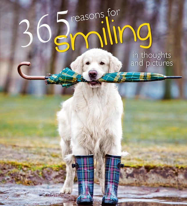 365 Reasons for Smiling