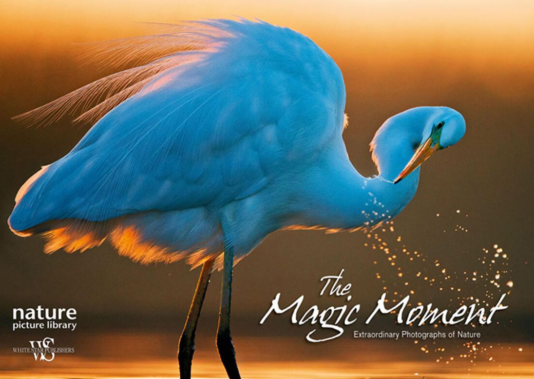 Magic Moment