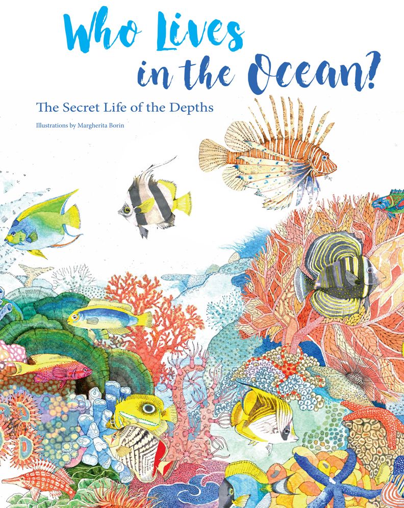 Who Lives in the Ocean?