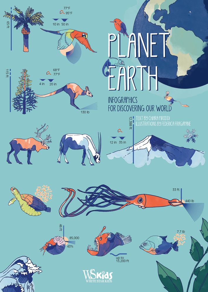 Planet Earth: Infographics for Discovering Our World