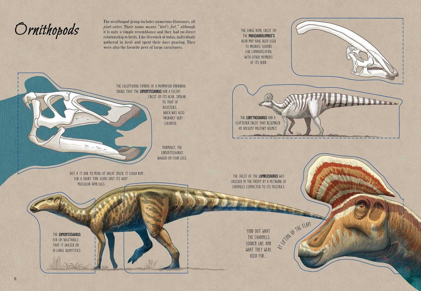 The World of Dinosaurs