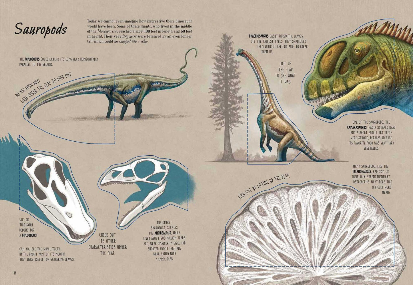 The World of Dinosaurs