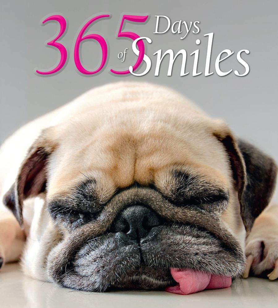 365 Days of Smiles