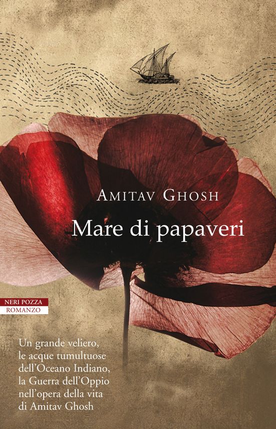 Mare di papaveri