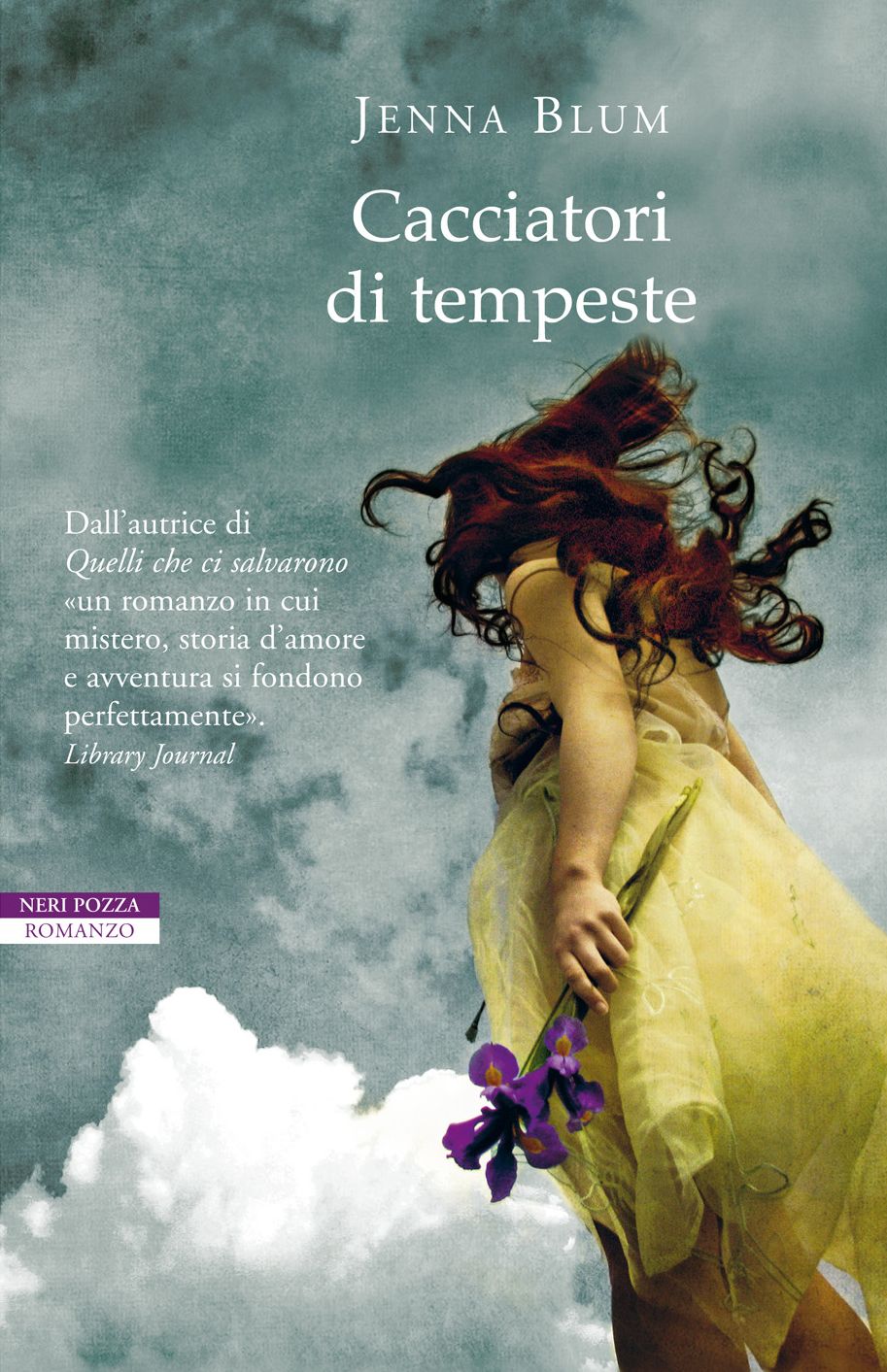 Cacciatori di tempeste