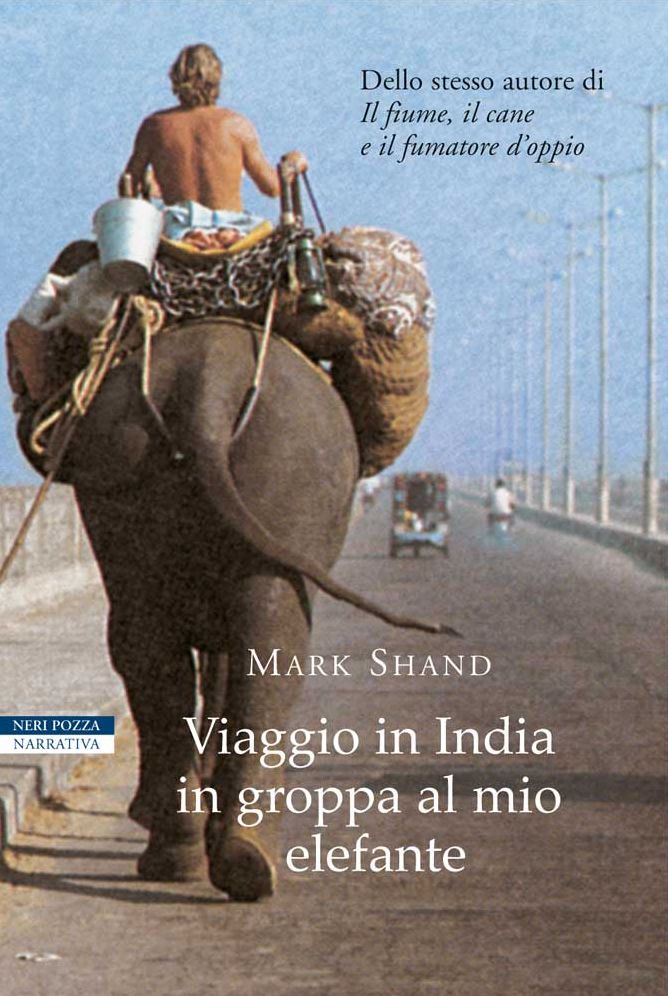 Viaggio in India in groppa al mio elefante