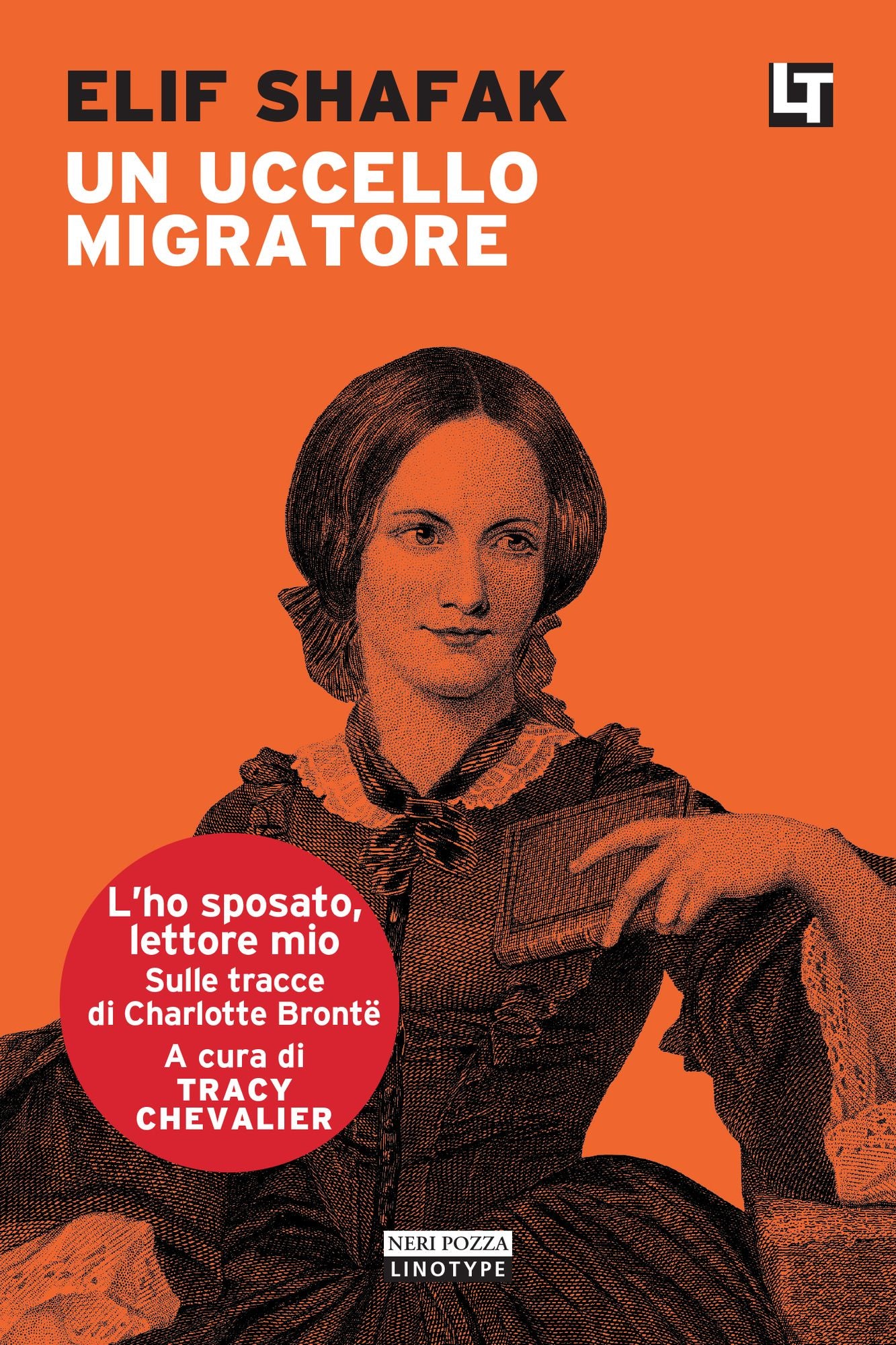 Un uccello migratore: L'ho sposato, lettore mio