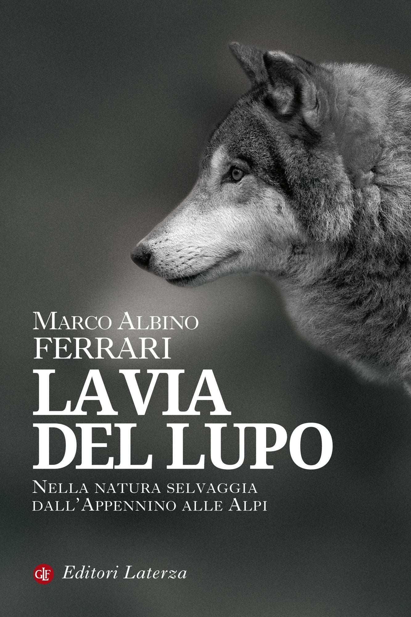 La via del lupo: Nella natura selvaggia dall'Appennino alle Alpi