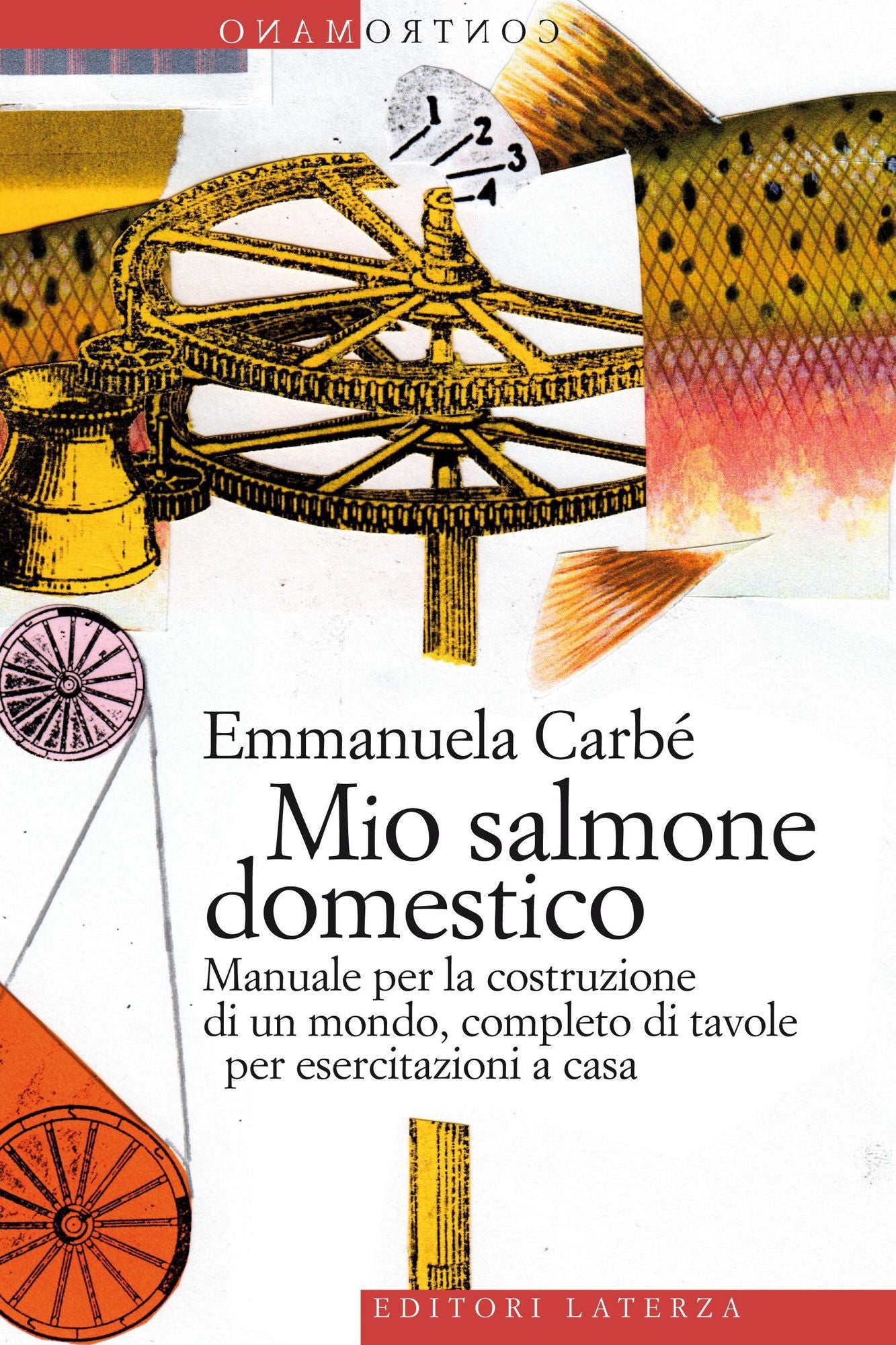 Mio salmone domestico: Manuale per la costruzione di un mondo, completo di tavole per esercitazioni a casa