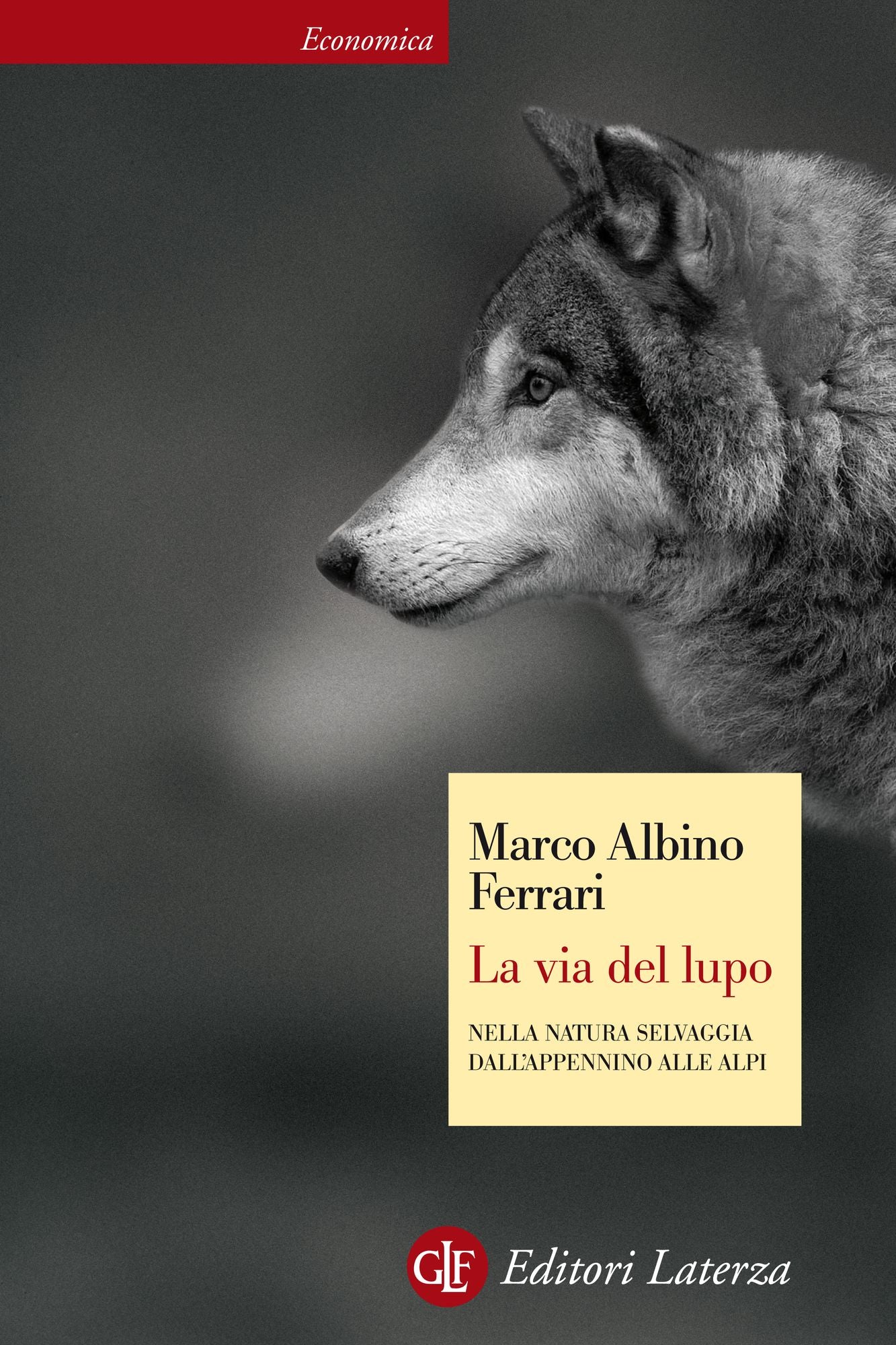 La via del lupo: Nella natura selvaggia dall'Appennino alle Alpi