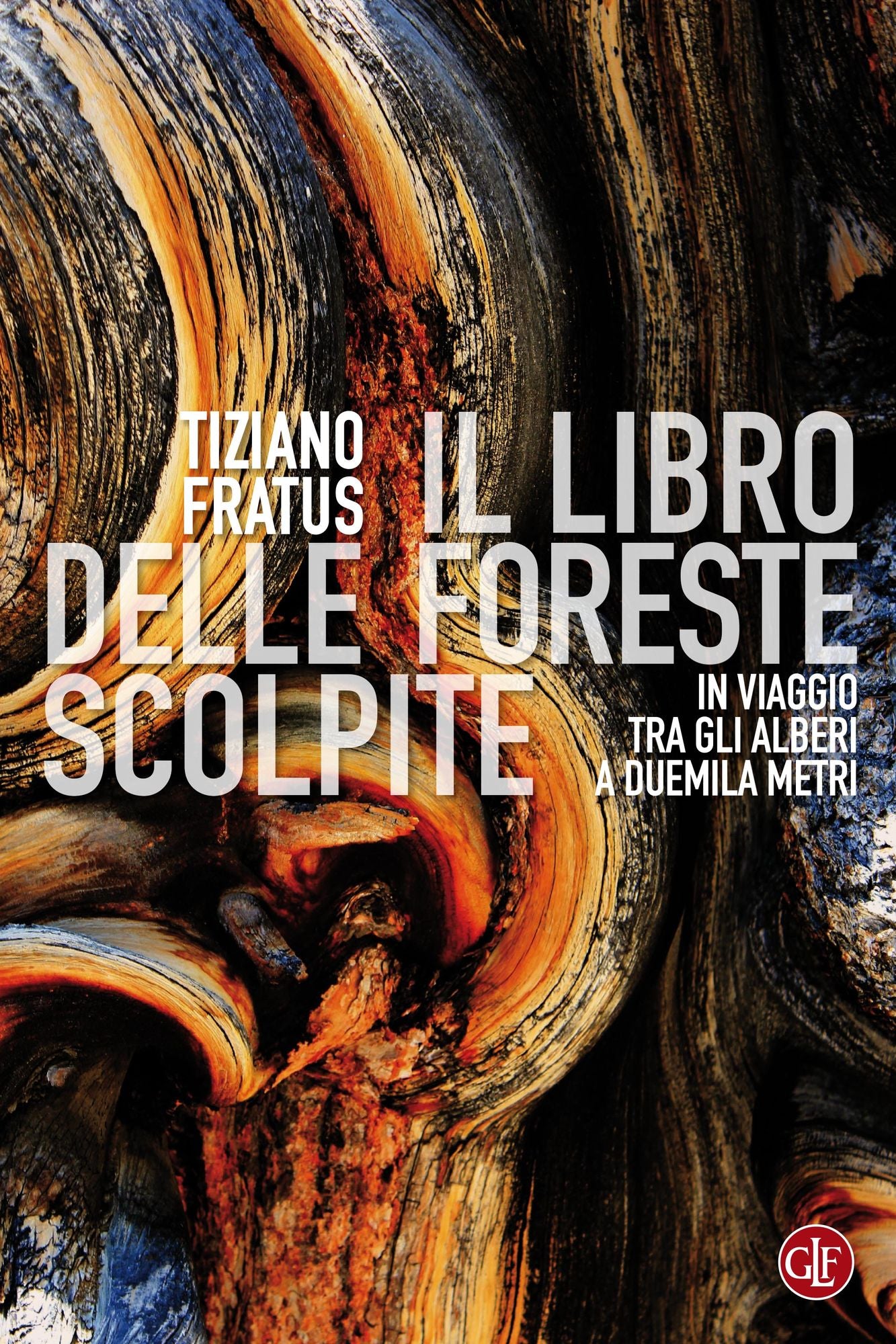 Il libro delle foreste scolpite: In viaggio tra gli alberi a duemila metri